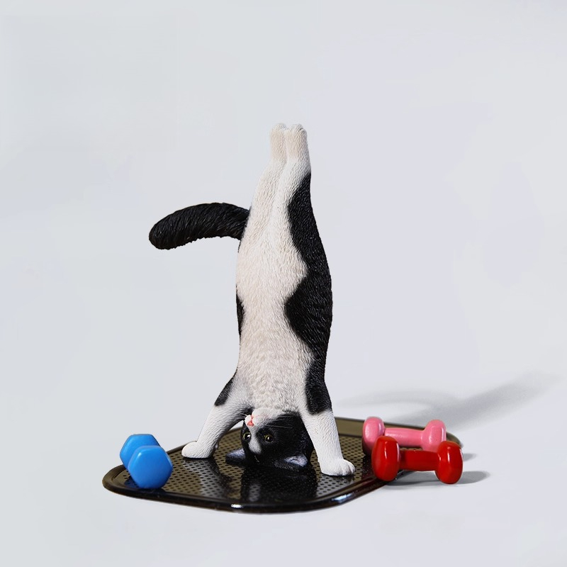 1/6 Scale Mini Simulated Fitne - Kids Yoga Toys recension och pris
